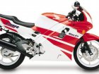 1991 Honda CBR 600F2